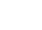 logo-brainsonic