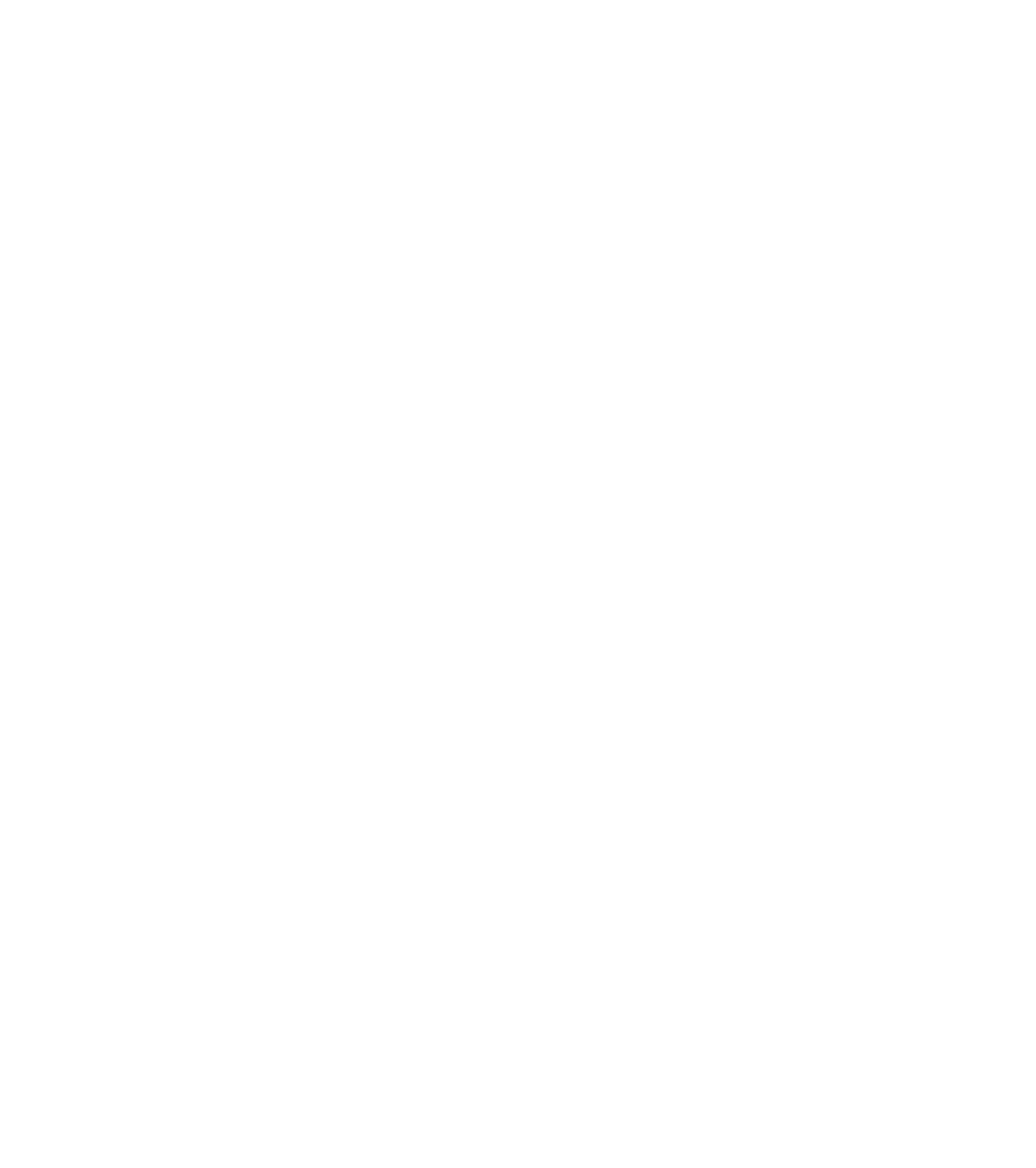 1 logo_Kvs