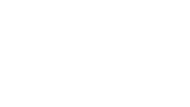 Fuji Chemical Industries logo
