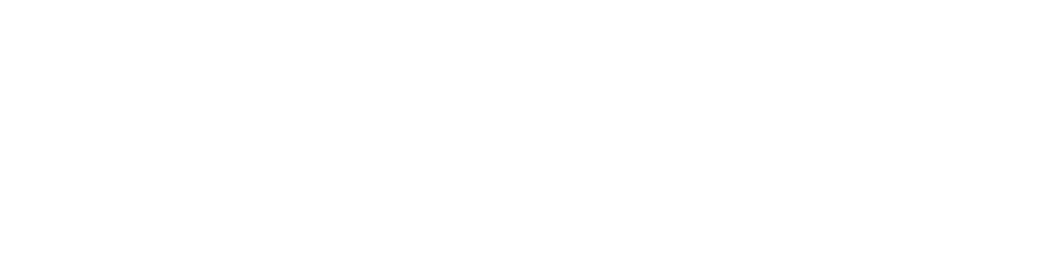 Cognisess logo